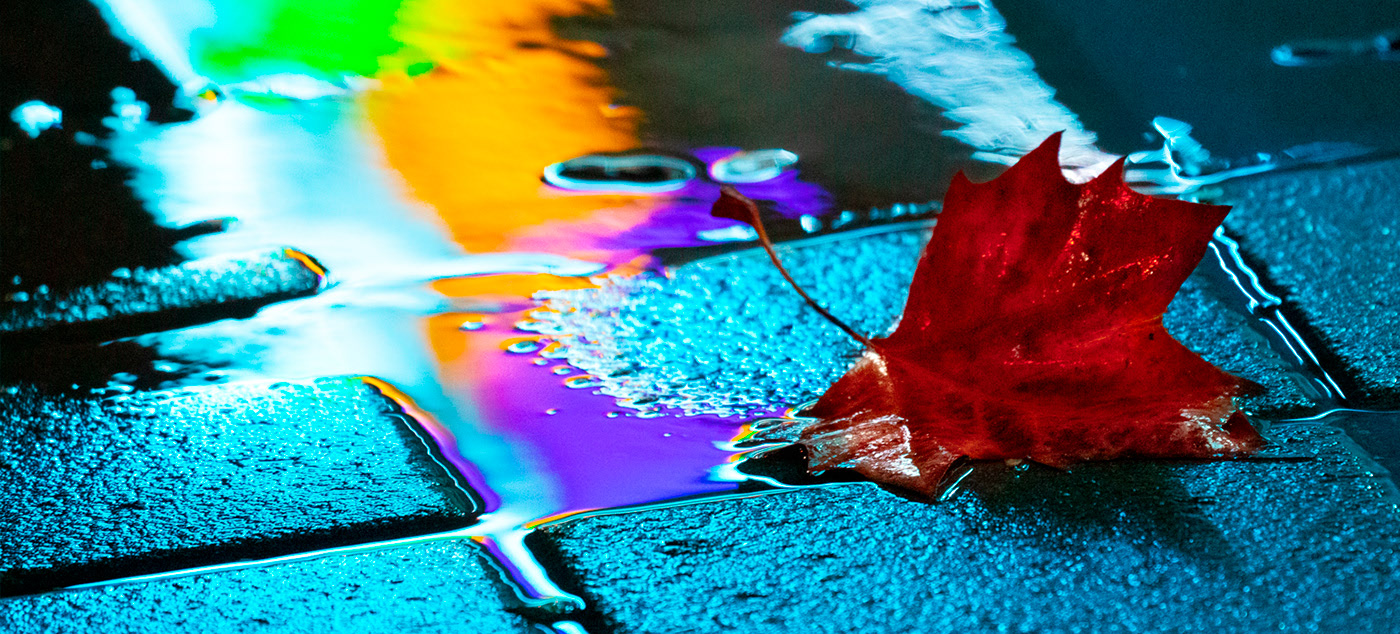 Neon Hues Paint Puddles of 『Regular Rain』 in Images by Slava Semeniuta