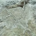 Drag mark made by travois of two parallel ridges.