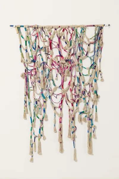 A net-like fiber artwork.