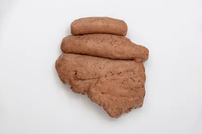 Several lumps of clay on a wall.