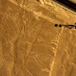 Aerial view of the geoglyph known as the Guarango Tree at Nazca Lines, south of Lima, Peru, 2014.