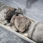 Ornithopod vertebra from the Denver Formation, from 763