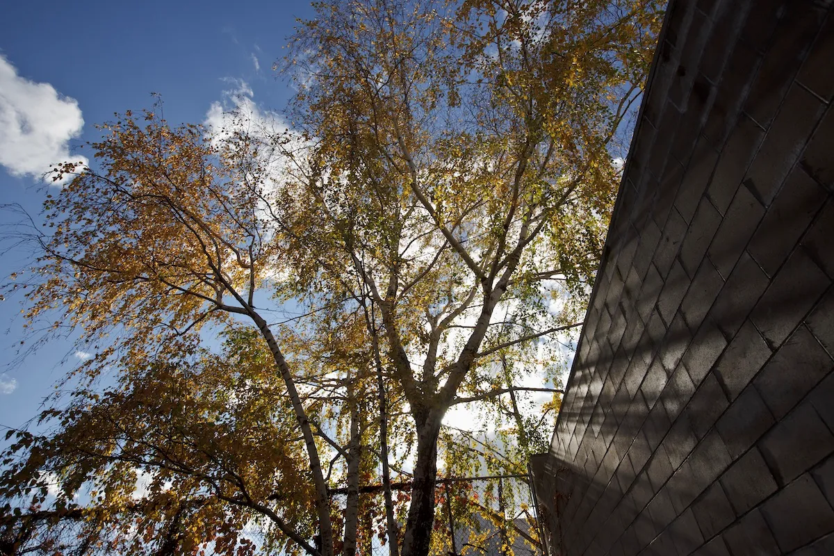Isamu Noguchi Foundation and Garden Museum, New York