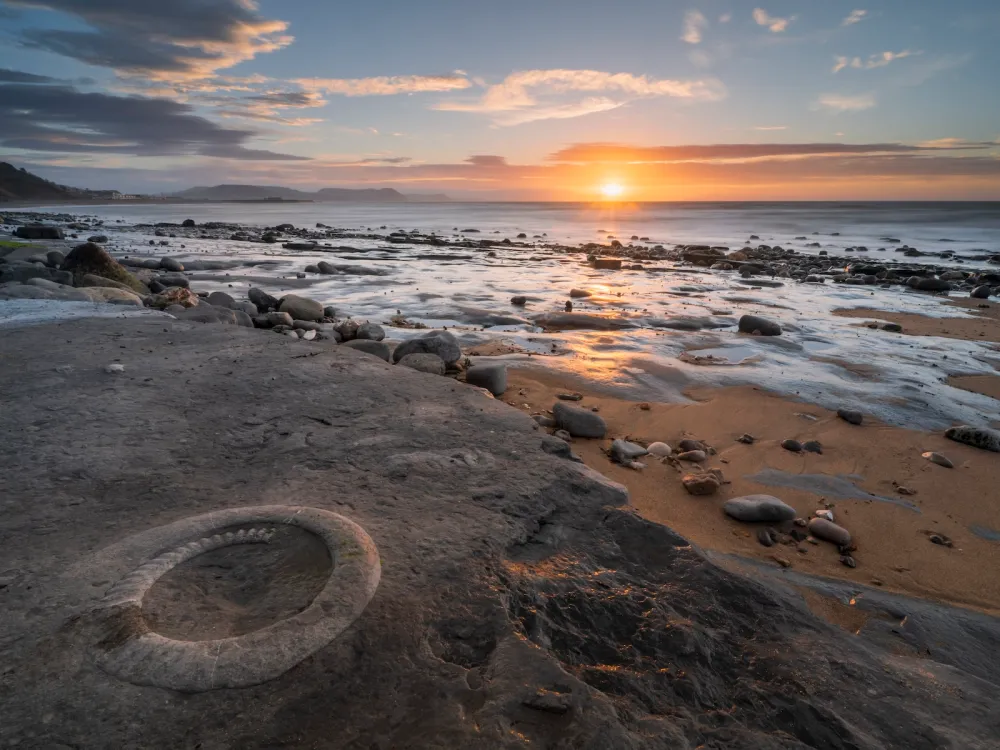 An ammonite fossil at Lyme Regis in Dorset, England