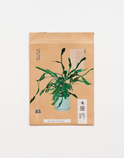 A painting of a plotted plant on a mailed envelope.